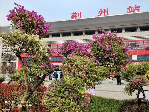 湖州到荊州物流專線-湖州至荊州貨運公司